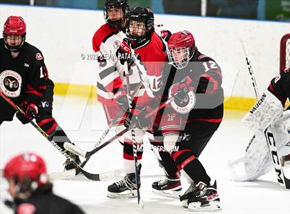 Thumbnail 3 in Cheshire @ Fairfield Warde/Ludlowe photogallery.
