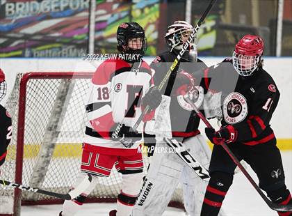 Thumbnail 1 in Cheshire @ Fairfield Warde/Ludlowe photogallery.