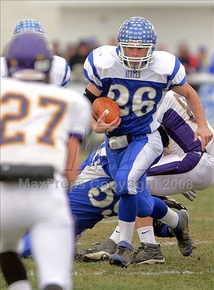 Thumbnail 3 in Casey-Westfield @ Auburn (IHSA Class 2A Semifinal) photogallery.