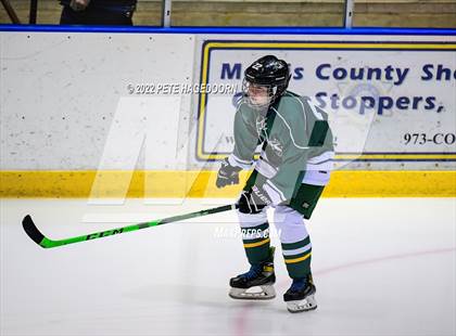 Thumbnail 2 in Montville @ Park Regional [Hanover Park/Whippany Park] photogallery.
