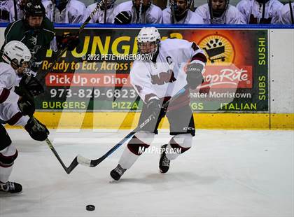 Thumbnail 3 in Montville @ Park Regional [Hanover Park/Whippany Park] photogallery.