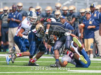 Thumbnail 2 in Bowie @ Hackensack photogallery.