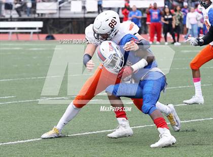 Thumbnail 1 in Hayfield @ T.C. Williams photogallery.