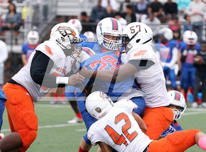 Thumbnail 2 in Hayfield @ T.C. Williams photogallery.