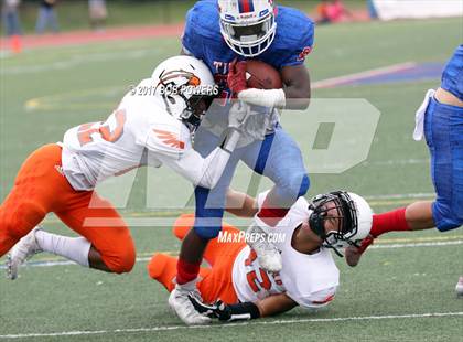 Thumbnail 3 in Hayfield @ T.C. Williams photogallery.