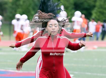 Thumbnail 2 in Hayfield @ T.C. Williams photogallery.
