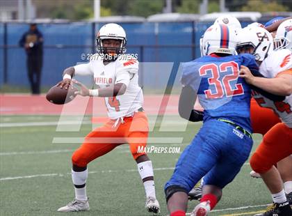 Thumbnail 3 in Hayfield @ T.C. Williams photogallery.