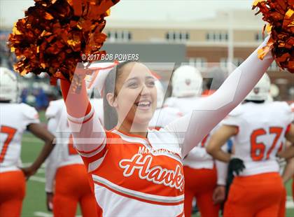Thumbnail 1 in Hayfield @ T.C. Williams photogallery.