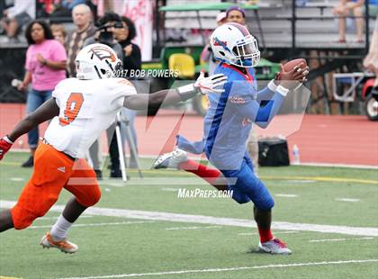 Thumbnail 2 in Hayfield @ T.C. Williams photogallery.