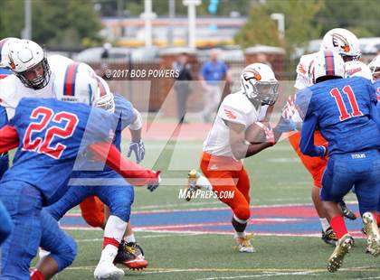 Thumbnail 1 in Hayfield @ T.C. Williams photogallery.