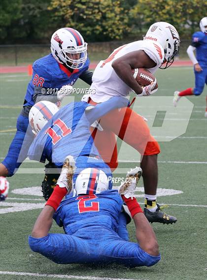 Thumbnail 3 in Hayfield @ T.C. Williams photogallery.