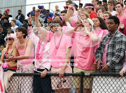 Thumbnail 2 in Hayfield @ T.C. Williams photogallery.