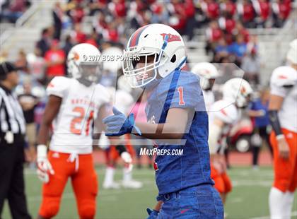Thumbnail 1 in Hayfield @ T.C. Williams photogallery.