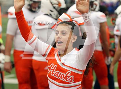 Thumbnail 1 in Hayfield @ T.C. Williams photogallery.