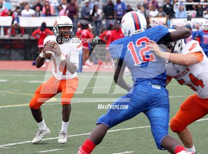 Thumbnail 1 in Hayfield @ T.C. Williams photogallery.