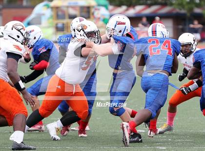 Thumbnail 1 in Hayfield @ T.C. Williams photogallery.