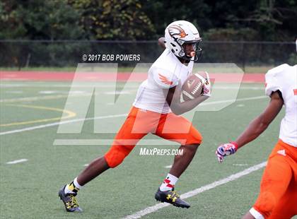 Thumbnail 2 in Hayfield @ T.C. Williams photogallery.