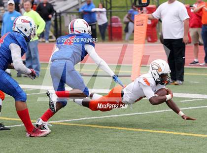 Thumbnail 2 in Hayfield @ T.C. Williams photogallery.