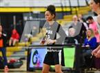 Photo from the gallery "Pomona @ Green Mountain"