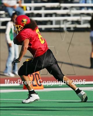 null - Photo 11