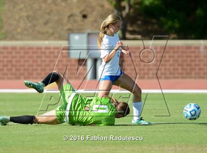 Thumbnail 3 in Franklin Academy vs. Community School of Davidson (NCHSAA 1A Final) photogallery.