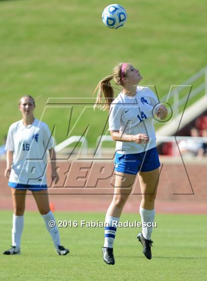 Thumbnail 1 in Franklin Academy vs. Community School of Davidson (NCHSAA 1A Final) photogallery.