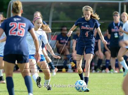 Thumbnail 3 in Franklin Academy vs. Community School of Davidson (NCHSAA 1A Final) photogallery.