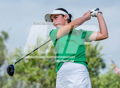 Thumbnail 3 in UIL Golf 5A Region IV Final (Round 2) photogallery.