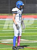 Photo from the gallery "Englewood @ Denver West"