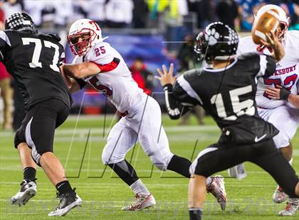 Thumbnail 1 in Tewksbury Memorial vs. Plymouth South (MIAA Division 3 Final) photogallery.