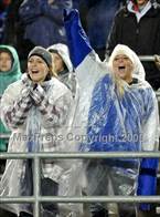 Loyal fans. 