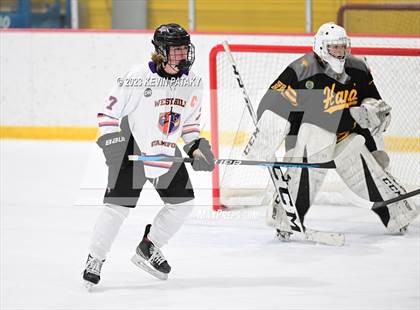 Thumbnail 1 in Daniel Hand @ Westhill/Stamford photogallery.