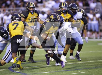 Thumbnail 3 in Harlan @ Brennan photogallery.