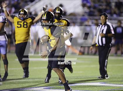 Thumbnail 1 in Harlan @ Brennan photogallery.