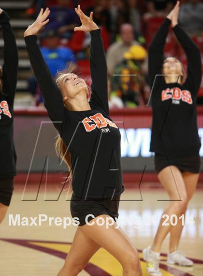 Thumbnail 3 in Perry vs. Corona del Sol (AIA D1 Semifinal) photogallery.