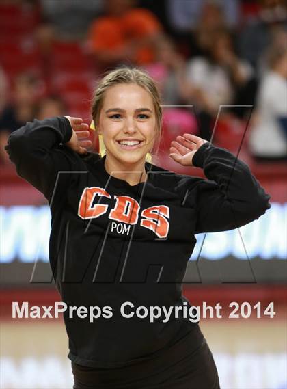 Thumbnail 1 in Perry vs. Corona del Sol (AIA D1 Semifinal) photogallery.