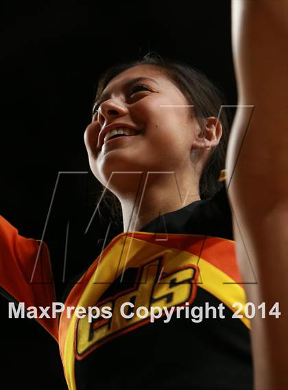 Thumbnail 1 in Perry vs. Corona del Sol (AIA D1 Semifinal) photogallery.