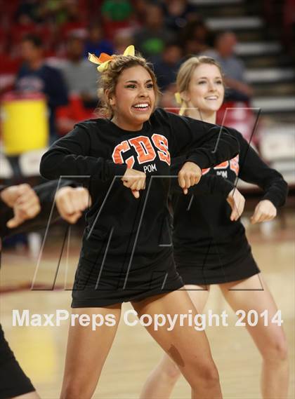 Thumbnail 2 in Perry vs. Corona del Sol (AIA D1 Semifinal) photogallery.