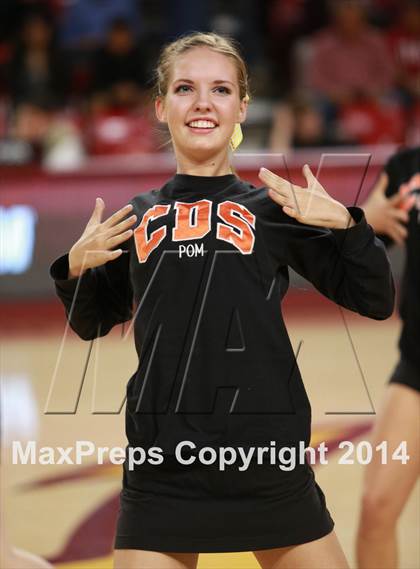 Thumbnail 2 in Perry vs. Corona del Sol (AIA D1 Semifinal) photogallery.
