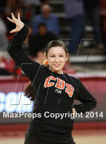 Thumbnail 3 in Perry vs. Corona del Sol (AIA D1 Semifinal) photogallery.