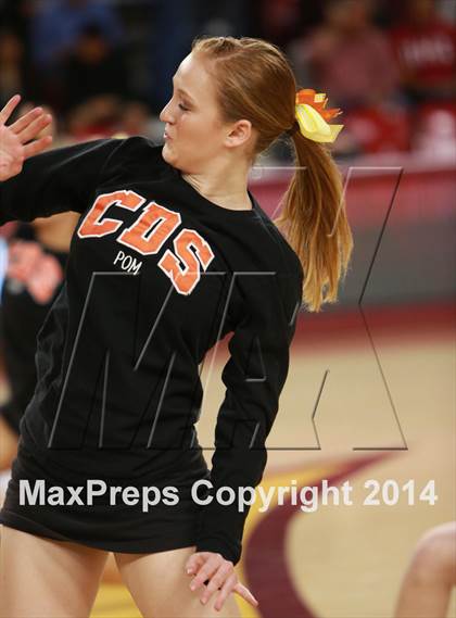 Thumbnail 2 in Perry vs. Corona del Sol (AIA D1 Semifinal) photogallery.
