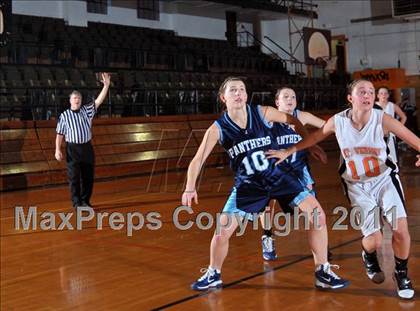 Thumbnail 3 in Jersey @ Mt. Vernon photogallery.