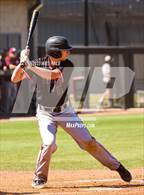 Photo from the gallery "Lexington @ Collierville"