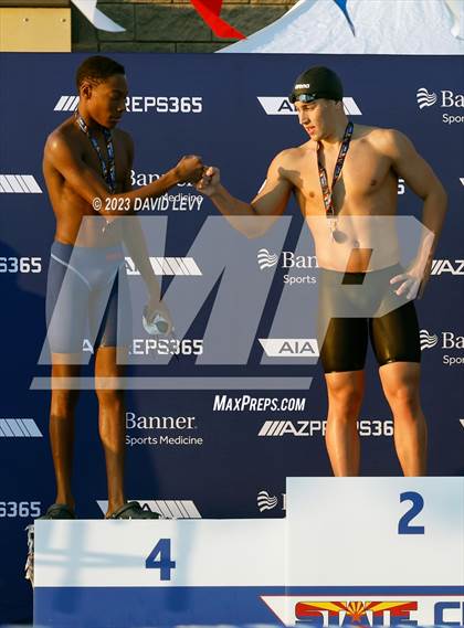 Thumbnail 2 in AIA D2 Swim Finals photogallery.