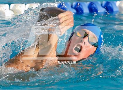 Thumbnail 1 in AIA D2 Swim Finals photogallery.