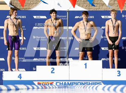 Thumbnail 1 in AIA D2 Swim Finals photogallery.