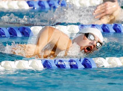 Thumbnail 1 in AIA D2 Swim Finals photogallery.