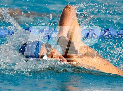 Thumbnail 1 in AIA D2 Swim Finals photogallery.