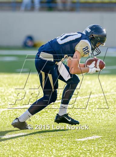 null - Photo 41