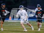 Photo from the gallery "Stamford @ Wilton"
